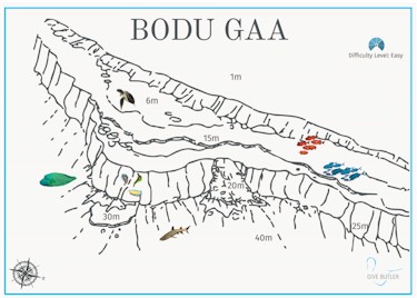 Bodu Gaa